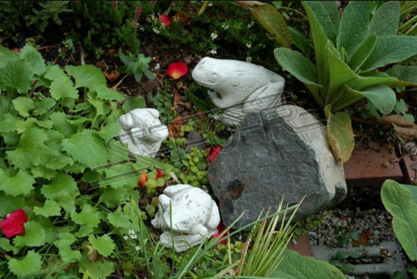 Garden Decoration Frog Terrace Stone Figurines Figure Deco Statue