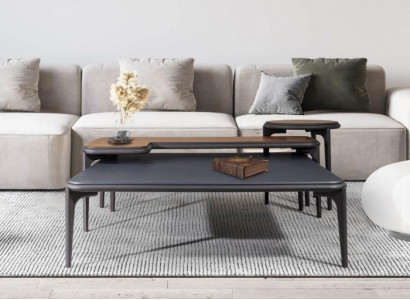 Elegant living room set consisting of 2x coffee table and 3-piece side table.