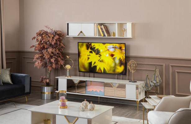 Living room furniture, wall unit, TV stand, wall shelf, wood, new white modern.