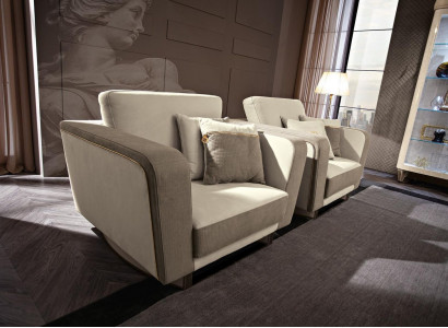 Furniture, furnishing, single-seater, relaxation club, recliner, luxury, armchair, design, chair, hotel, new.